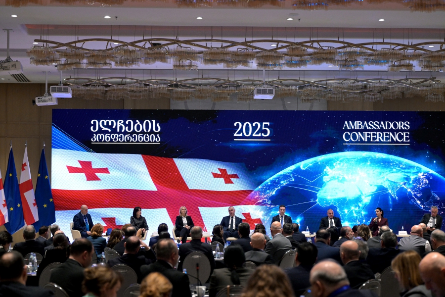 ნათია თურნავამ ელჩების კონფერენციის ფარგლებში გამართულ პანელურ დისკუსიაში მიიღო მონაწილეობა