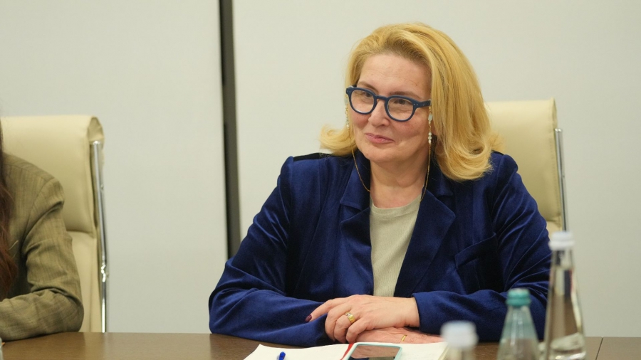 შავი ზღვის წყალქვეშა კაბელის პროექტის ინვესტიცია 3,5 მლრდ ევროს უტოლდება - ინგა ფხალაძე