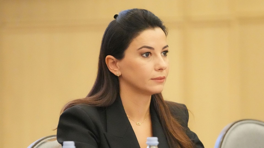 მარიამ ქვრივიშვილი ბიზნესს შეხვდა - რა განიხილეს