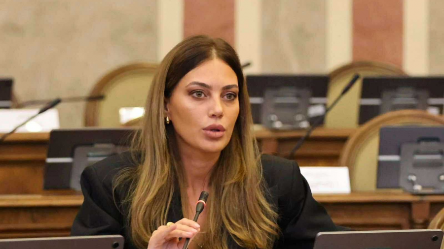 მიმაჩნია, რომ ჩვენ შევძლებთ როგორც ფასების რეგულირებას, ასევე ჩვენი მოსახლეობის კეთილდღეობაზე ზრუნვას - ნინო ვარდოსანიძე