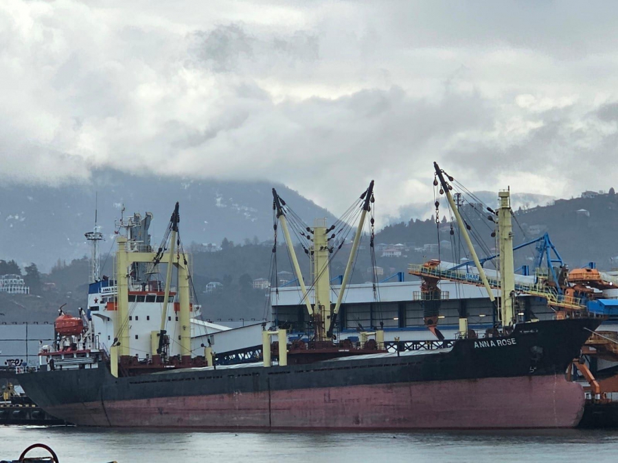 სასაზღვრო პოლიციის სანაპირო დაცვამ ნაოსნობის წესების დარღვევის ფაქტი გამოავლინა