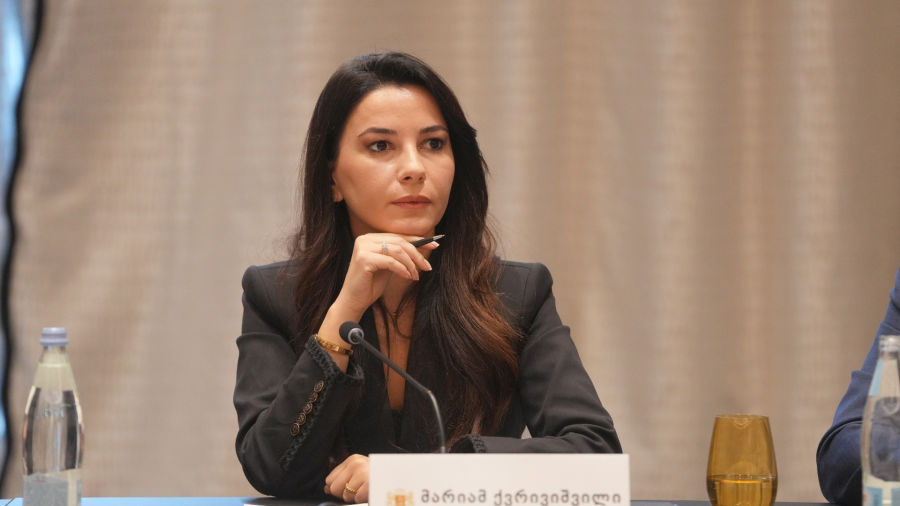 სასურსათო პროდუქციის, მედიკამენტებისა და საწვავის ფასებთან დაკავშირებით აქტიური კომინიკაცია გვექნება კერძო სექტორთან, ჩვენი ამოცანაა, ხელშესახები შედეგები გვქონდეს უახლოესი თვეების განმავლობაში - მარიამ ქვრივიშვილი