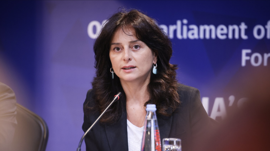 რა იცვლება „შინაურ ბინადარ ცხოველთა შესახებ“ კანონში - ინტერვიუ მაია ბითაძესთან