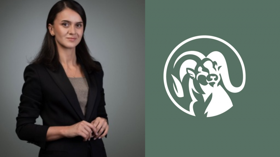 ევროობლიგაციების გამოშვება წარმოადგენს საორიენტაციო წერტილს ადგილობრივი კაპიტალის ბაზრისთვის - Galt & Taggart-ის გენერალური დირექტორის მოადგილე