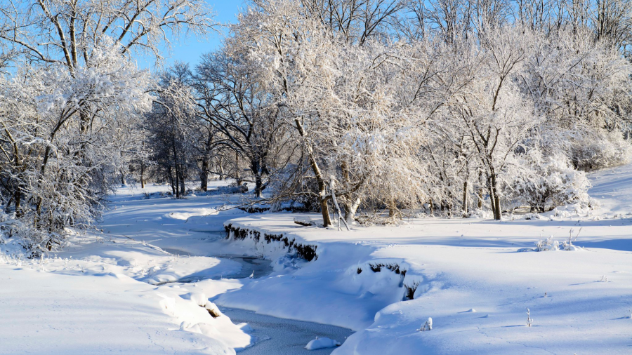 გარემოს ეროვნული სააგენტოს ინფორმაციით, ნალექის ინტენსივობა 22 იანვრიდან შემცირდება, თუმცა მოსალოდნელია ყინვა