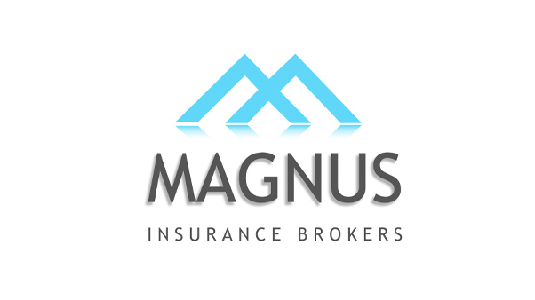 Magnus Insurance Brokers სავალდებულო სამოგზაურო დაზღვევაზე | ინტერვიუ აღმასრულებელ დირექტორთან