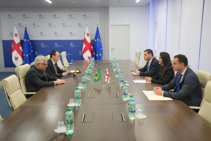 მარიამ ქვრივიშვილმა და ბრაზილიის ელჩმა საქართველოში ორი ქვეყნის ეკონომიკური პარტნიორობის გაღრმავების საკითხები განიხილეს