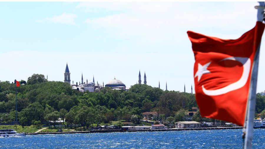 როგორია თურქეთ-საქართველოს 2025 წლის სავაჭრო სტატისტიკა