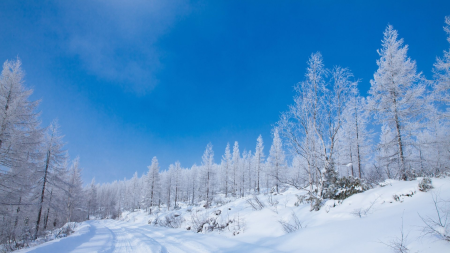 როგორი ამინდია მოსალოდნელი 24-26 იანვარს საქართველოში
