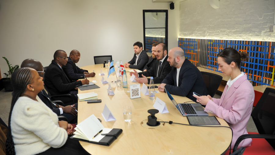 GITA - ს თავმჯდომარემ ბოტსვანას დელეგაციას უმასპინძლა