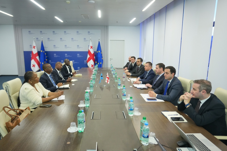 ეკონომიკის მინისტრის მოადგილეებმა ბოტსვანას დელეგაციას ეკონომიკური რეფორმები გააცნეს