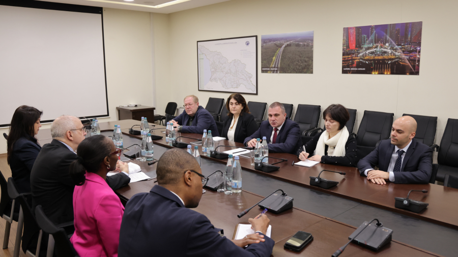 რევაზ სოხაძე მსოფლიო ბანკის ევროპისა და ცენტრალური აზიის ინფრასტრუქტურის რეგიონულ დირექტორს შეხვდა