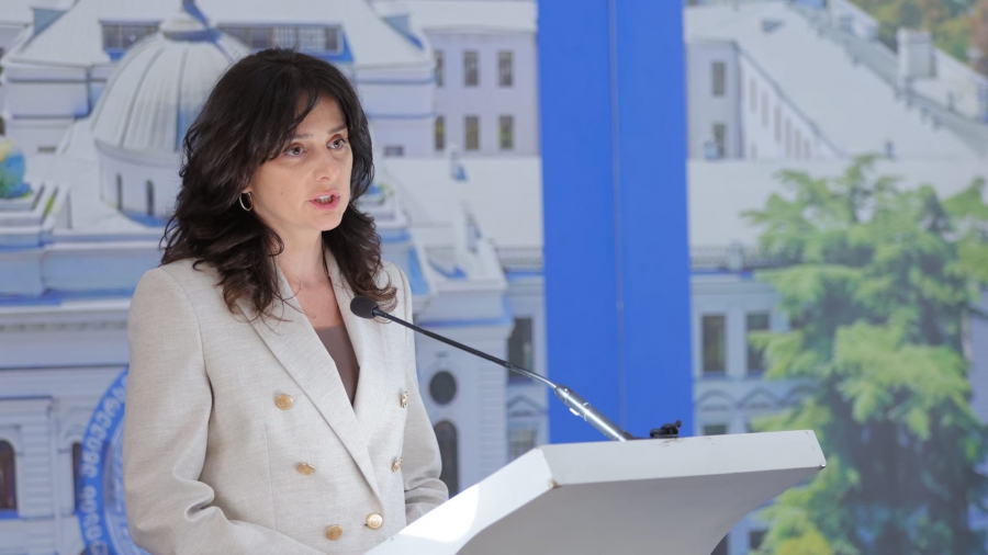 ქუჩაში არსებული ძაღლების რაოდენობა, არა ძაღლების, არამედ არაკეთილსინდისიერი მეპატრონეების ქცევის შედეგია - მაია ბითაძე