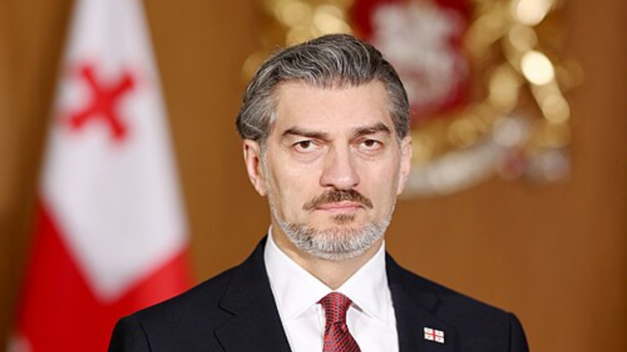 საქართველოს პრეზიდენტმა ნათლისღების დღესასწაულთან დაკავშირებით 159 პირი შეიწყალა