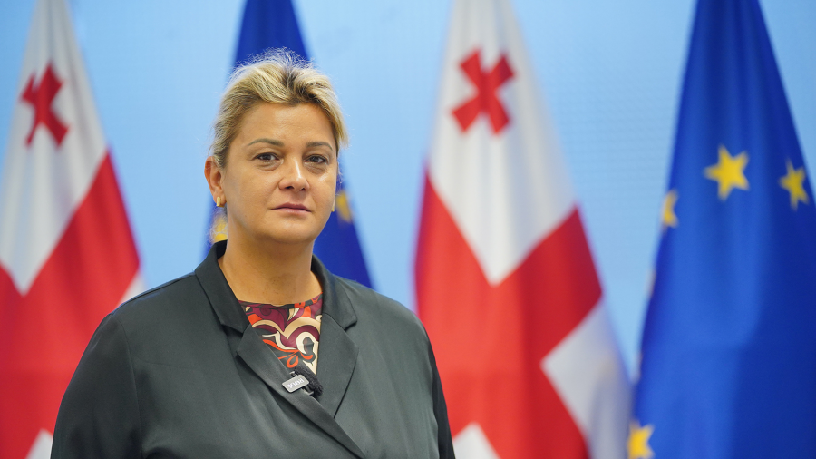 2025 წელს სახელმწიფო ქონების პრივატიზაციიდან საბიუჯეტო შემოსავალი 217 მილიონ ლარზე მეტია - გეგმა 102 პროცენტით შესრულდა - ნინო ენუქიძე