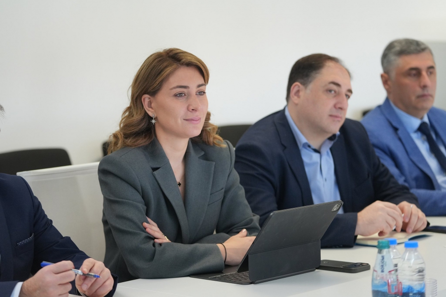 2025 წელს ტურიზმისა და ავიაციის მიმართულებით რეკორდული მაჩვენებლები გვაქვს - თამარ იოსელიანი