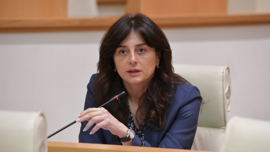 მთავარია, რომ უზრუნველყოფილი იქნება პატრონიანი ძაღლების რეგისტრაცია და ერთიან ბაზაში შეყვანა, ასევე მარეგისტრირებელი სუბიექტების სისტემაში სრულფასოვანი ჩართვა - შედეგად, მიტოვებული შინაური ბინადარი ცხოველების რაოდენობა შემცირდება l მაია ბითაძე