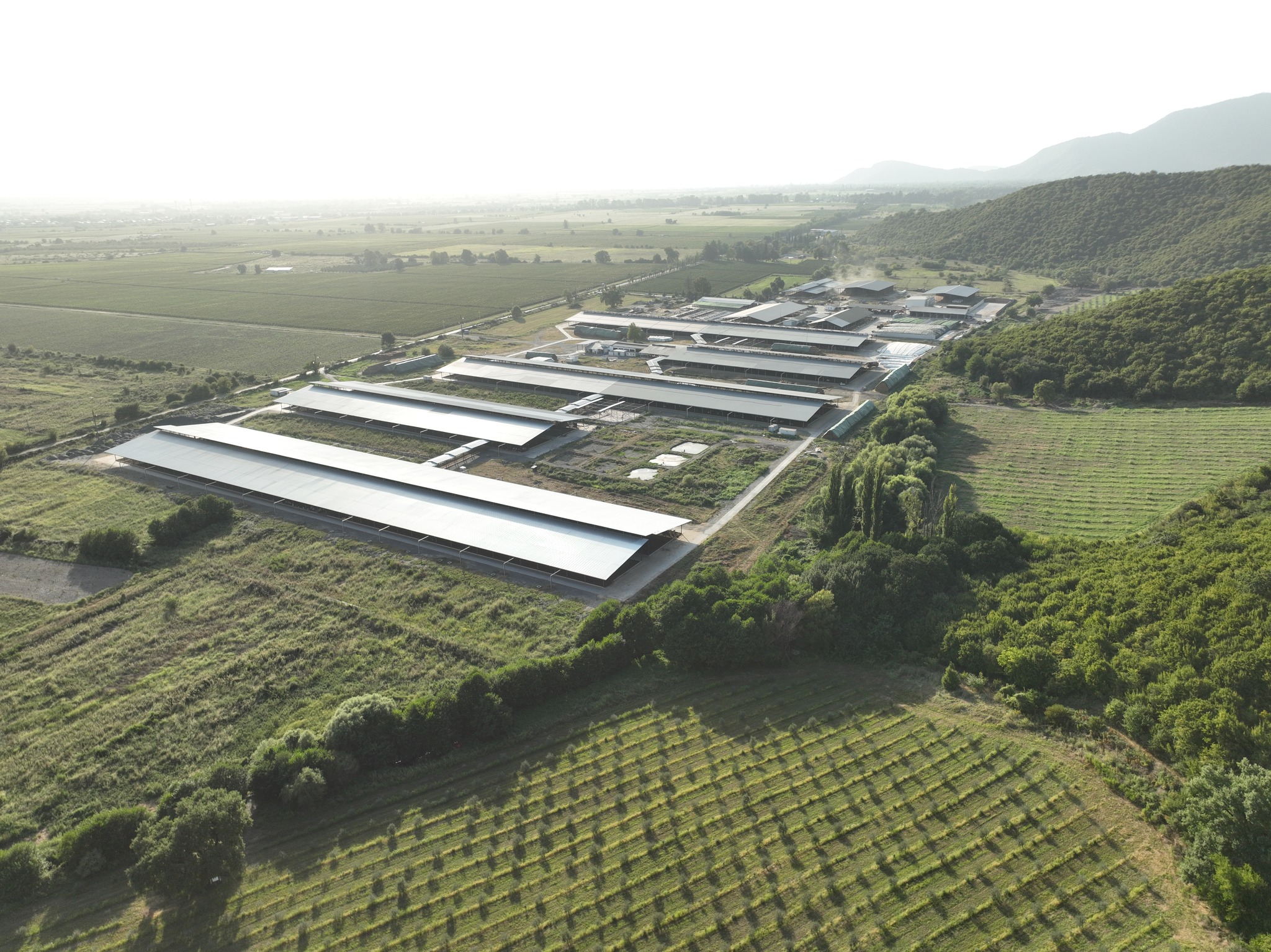 მიუხედავად სახელმწიფოს მხარდაჭერისა და თანამშრომლობისა სოფლის განვითარების სააგენტოსთან, კომპანიის შემოსავლის დაახლოებით 16% სესხებისა და მათი პროცენტების მომსახურებაზე იხარჯება, რაც თვითღირებულებაში მნიშვნელოვან წილს იკავებს - კომპანია „ყვარლის ბაგას“ დირექტორი ნათია გარგულია