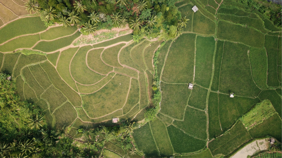 მივიღეთ საკონსტიტუციო ცვლილებები, რომლითაც მთლიანად აიკრძალა უცხოელებზე სასოფლო-სამეურნეო დანიშნულების მიწის გასხვისება - ირაკლი კობახიძე