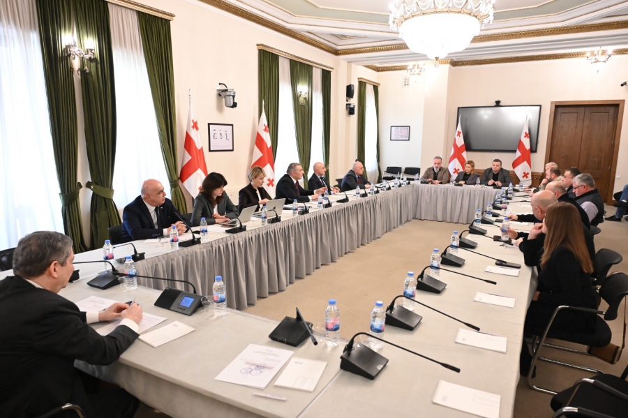 სასურსათო პროდუქციის, მედიკამენტებისა და საწვავის ფასწარმოქმნის სტრუქტურის შემსწავლელი საქართველოს პარლამენტის დროებითი კომისიის სხდომაზე ხილ-პროდუქტების და წვენების მწარმოებლებს მოუსმინეს