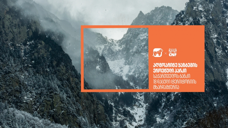 აღმოაჩინე ყაზბეგის ეროვნული პარკი - საქართველოს ბანკი 18 დაცული ტერიტორიის მხარდამჭერია