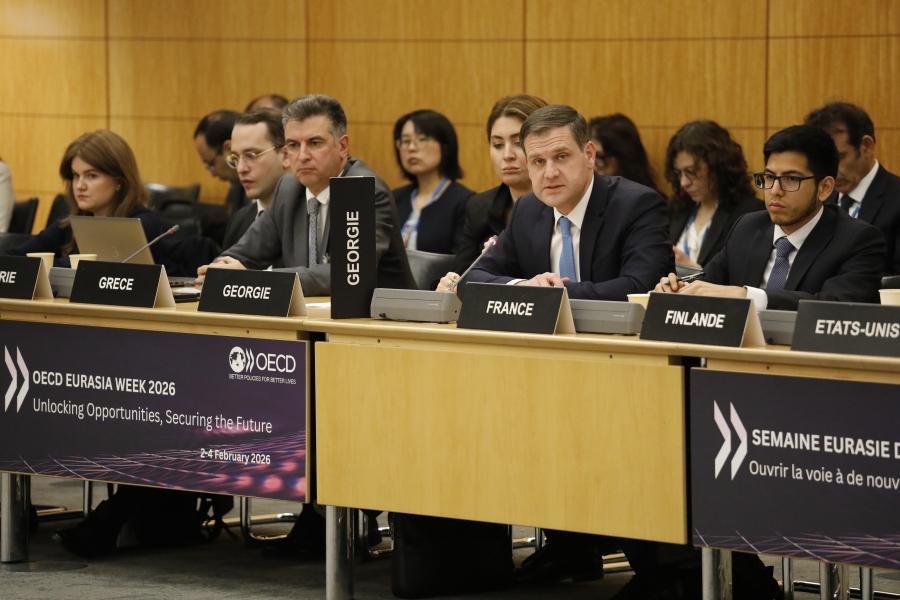 საქართველო ინარჩუნებს რეგიონში ერთ-ერთ ყველაზე ლიბერალურ და პროგნოზირებად სავაჭრო რეჟიმს, რაც ქმნის მყარ საფუძველს გრძელვადიანი ინვესტიციებისთვის - გენადი არველაძე