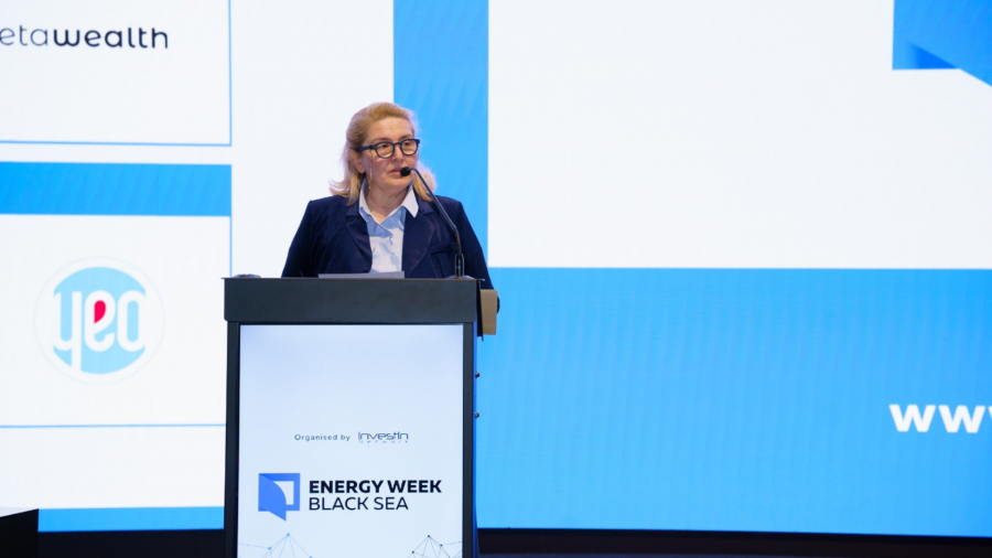 საქართველოს ენერგეტიკულ ბალანსში განახლებადი ენერგიის წილის გაზრდა ენერგოპოლიტიკის პრიორიტეტია - ინგა ფხალაძე