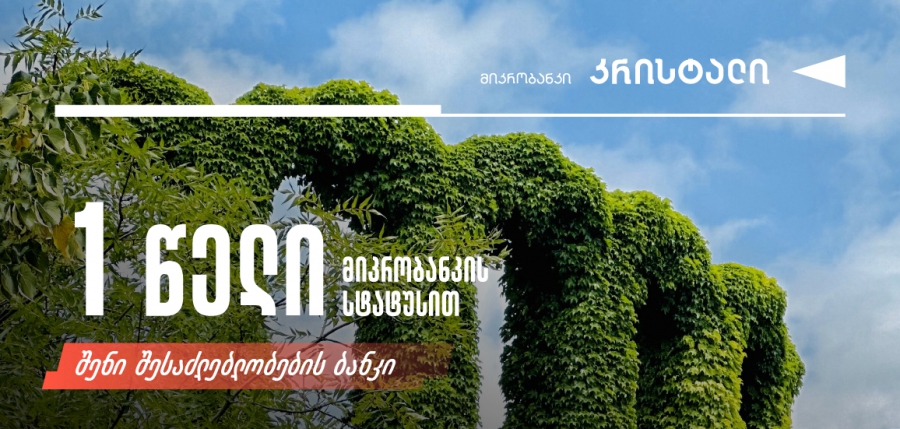 1 წელი მიკრობანკის ლიცენზიის მიღებიდან