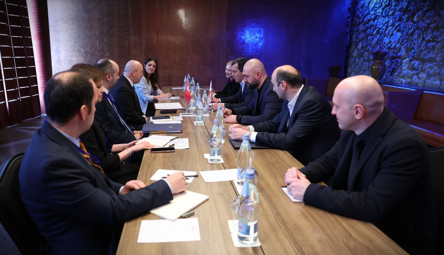 შემოსავლების სამსახურის უფროსი, ირაკლი (დაჩი) ბერაია საქართველოში ვიზიტით მყოფ, თურქეთის ვაჭრობის მინისტრის მოადგილეს შეხვდა