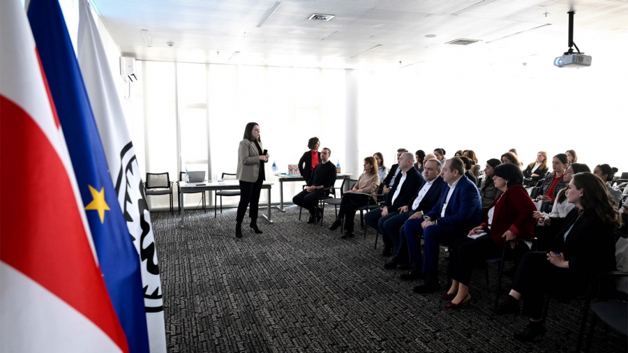 საქართველოს ეროვნულ ბანკში ფინანსური განათლების ეროვნული სტრატეგიის მართვის კომიტეტის სხდომა გაიმართა