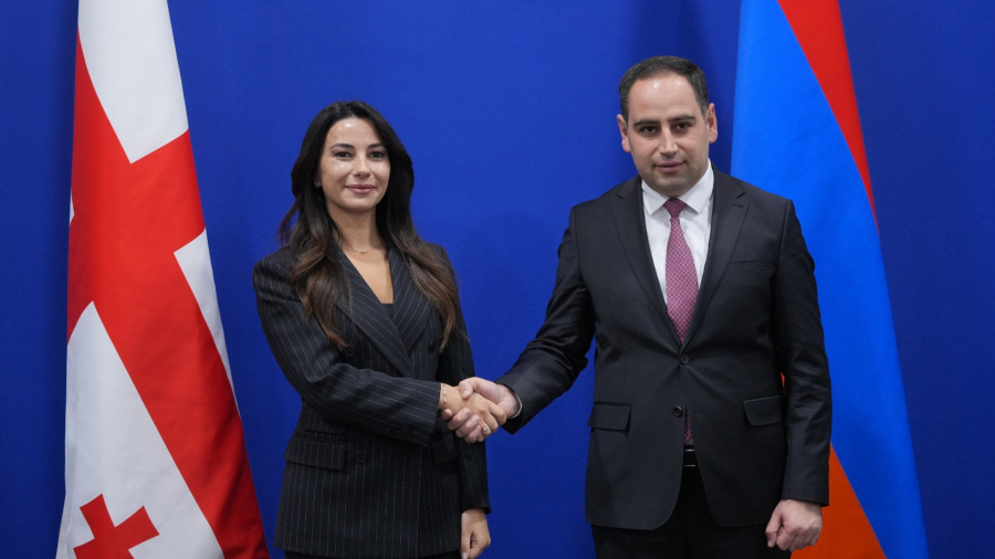 მარიამ ქვრივიშვილმა სომხეთის ტერიტორიული ადმინისტრირებისა და ინფრასტრუქტურის მინისტრთან ტრანსპორტისა და ენერგეტიკის სფეროში თანამშრომლობა განიხილა
