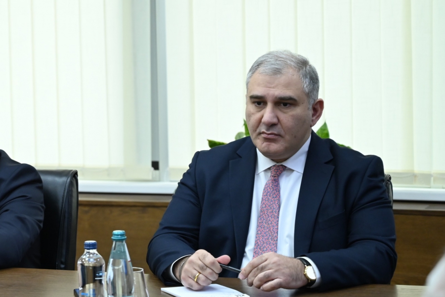 თვითონ ბიზნესიც მოტივირებულია და ხედავს შესაძლებლობას, რომ პროცესები სწორი დინამიკით განვითარდეს - მიხეილ სარჯველაძე მედიმამენტების ფასიას შესაძლო გაიაფებაზე