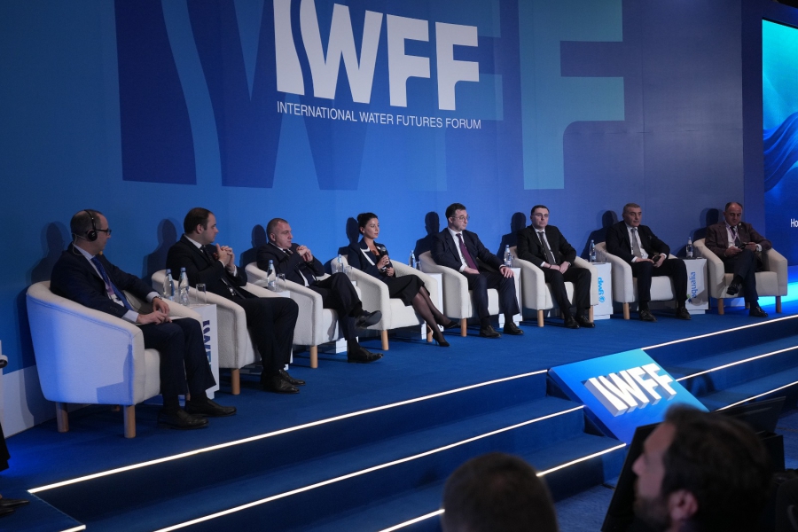 მარიამ ქვრივიშვილმა „წყლის მომავლის პირველ საერთაშორისო ფორუმზე" ქვეყნის ეკონომიკისა და სოციალური განვითარების პროცესში წყლის სექტორის მნიშვნელობაზე ისაუბრა