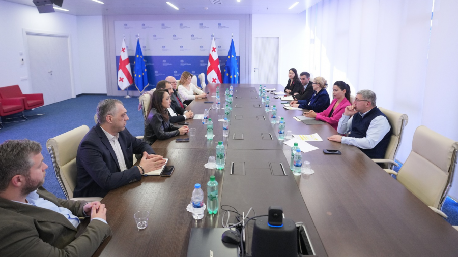 მარიამ ქვრივიშვილმა GREDA-ს წარმომადგენლებთან ელექტროსადგურების მიერ გადახდილი ქონების გადასახადის განაწილებასთან დაკავშირებული კანონპროექტი განიხილა