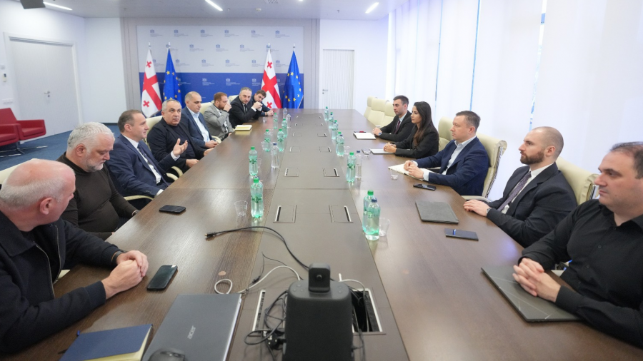 მარიამ ქვრივიშვილმა ენერგეტიკულ კომპანიებთან დარგის განვითარების პერსპექტივები განიხილა