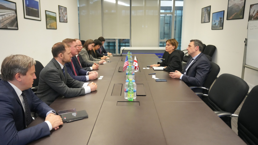 თამარ იოსელიანმა აშშ - ის ელჩის მოვალეობის შემსრულებელს საქართველოს სატრანსპორტო სექტორში მიმდინარე პროექტები გააცნო