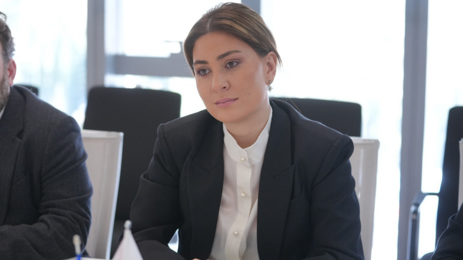 თამარ იოსელიანმა უსაფრთხო ინტერნეტის დღისადმი მიძღვნილ ონლაინ კონფერენციაში მიიღო მონაწილეობა