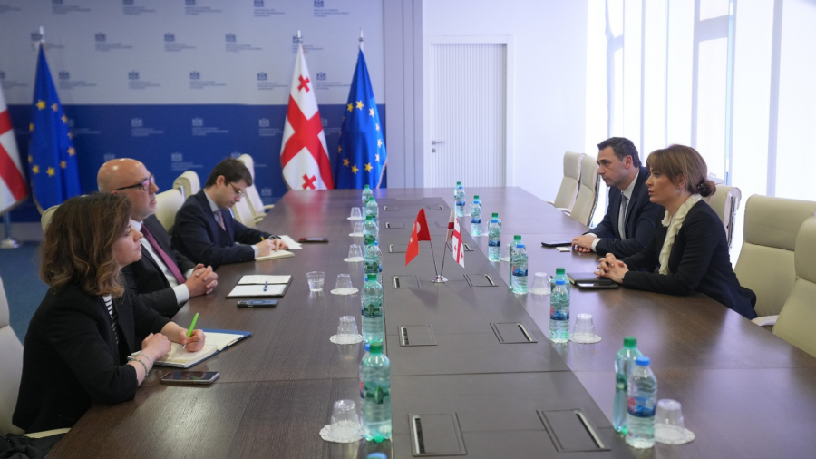 თამარ იოსელიანმა თურქეთის ელჩთან ტრანსპორტისა და ლოგისტიკის სექტორებში საქართველოსა და თურქეთს შორის ნაყოფიერი თანამშრომლობა განიხილა