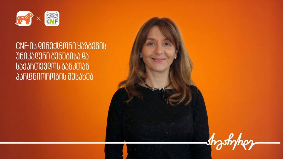 ყაზბეგი - მეტი, ვიდრე მწვერვალები | საქართველოს ბანკი 18 დაცული ტერიტორიის მხარდამჭერია