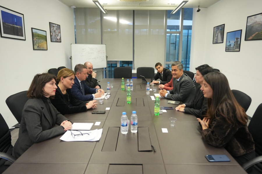 ეკონომიკის სამინისტროში Visa - ს რეგიონულ პრეზიდენტთან შეხვედრა გაიმართა