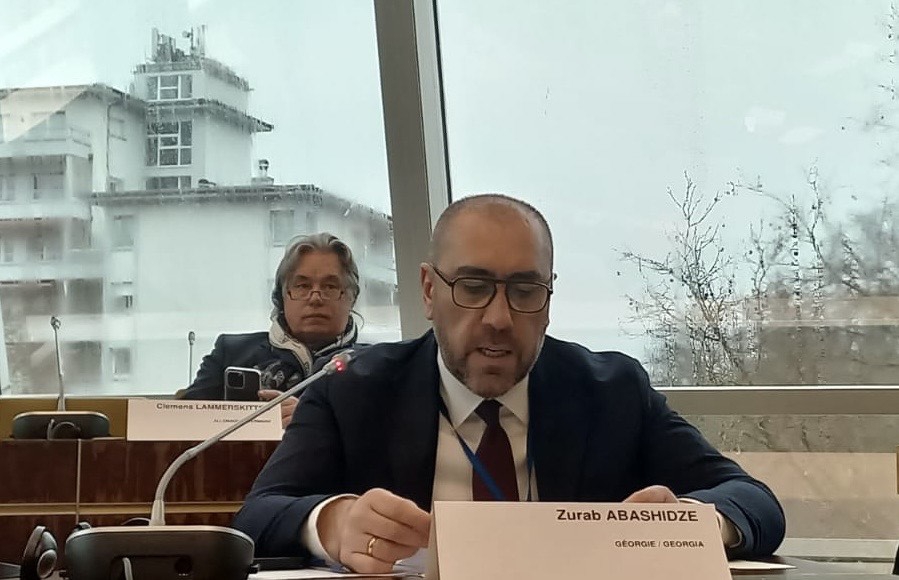 გვქონდა მოლოდინი, რომ ორმაგი სტანდარტით არ იხელმძღვანელებდით და ძალადობას ისევე დაგმობდით, როგორც ევროპელი პოლიტიკური ლიდერები გმობენ ძალადობას თავიანთ ქვეყნებში - ზურაბ აბაშიძე