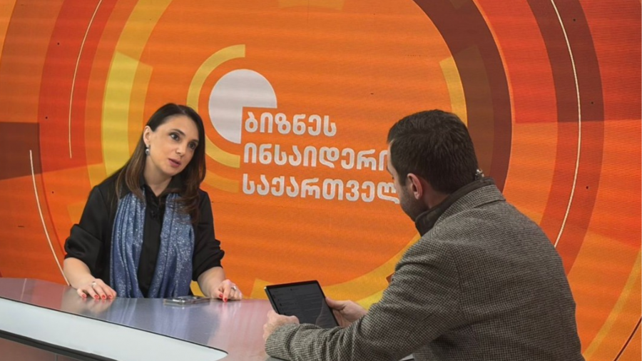 ჰიდროელექტროსადგურების ქონების გადასახადის ნაწილი პირდაპირ სოფლების განვითარებას მოხმარდება - მაია მელიქიძე ახალ საკანონმდებლო ინიციატივაზე