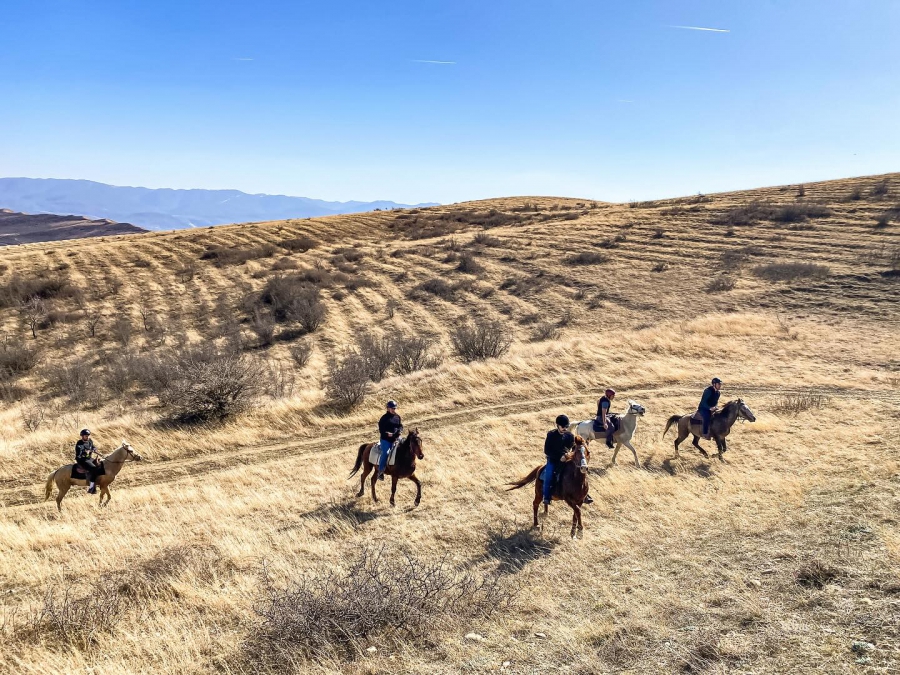 „რანჩო პალომინო“ განვითარების ახალ ეტაპზე - კაფეს შემდეგ სასტუმროს მშენებლობაც იგეგმება
