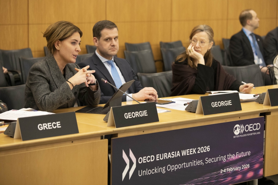 შუა დერეფანი უნდა მუშაობდეს როგორც ერთი სისტემა - დაკავშირებული ფიზიკურად, სინქრონიზებული ციფრულად და კოორდინირებული ინსტიტუციურად - საქართველო დღეს ამ დერეფნის საკვანძო რგოლია - თამარ იოსელიანი