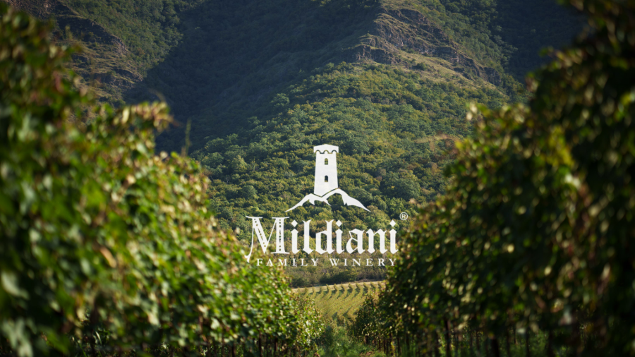 საოჯახო მეღვინეობა „მილდიანი“ 2025 წელსა და სამომავლო გეგმებზე