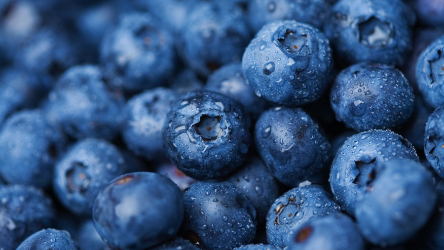 „აგროლეინი“ საუდის არაბეთში ერთ-ერთ სუპერმარკეტების ქსელთან თანამშრომლობას გეგმავს