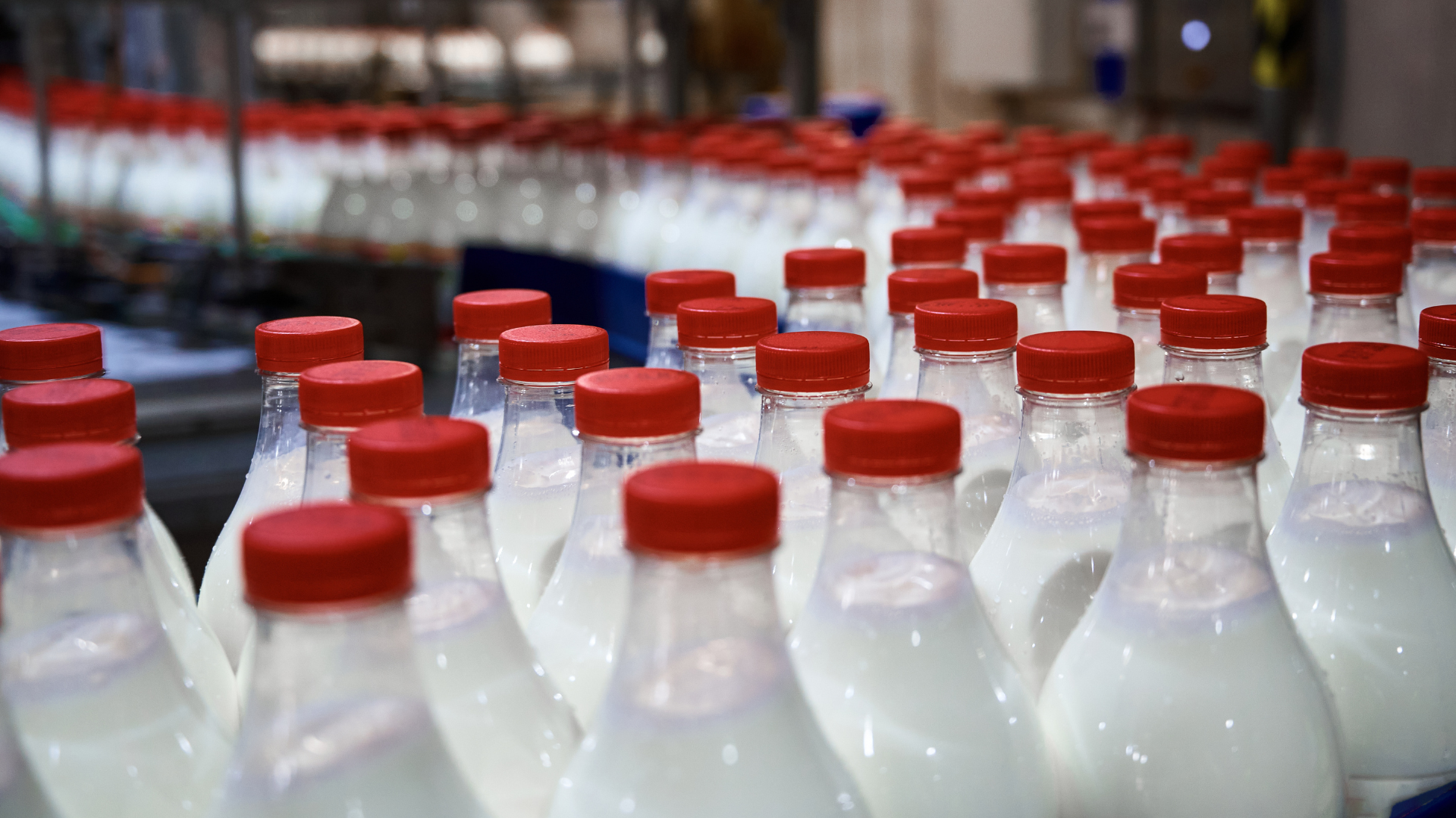 რძის ნაწარმსა და მის შემცვლელ პროდუქტებზე დამატებითი ეტიკეტირების წესის შემოღება იგეგმება - ახალი ინიციატივა სექტორის წარმომადგენლებს უკვე გააცნეს