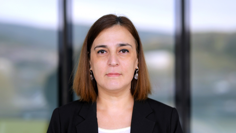 გეოპოლიტიკური ვითარებიდან გამომდინარე გაურკვევლობა მაღალია - ეკატერინე მიქაბაძე