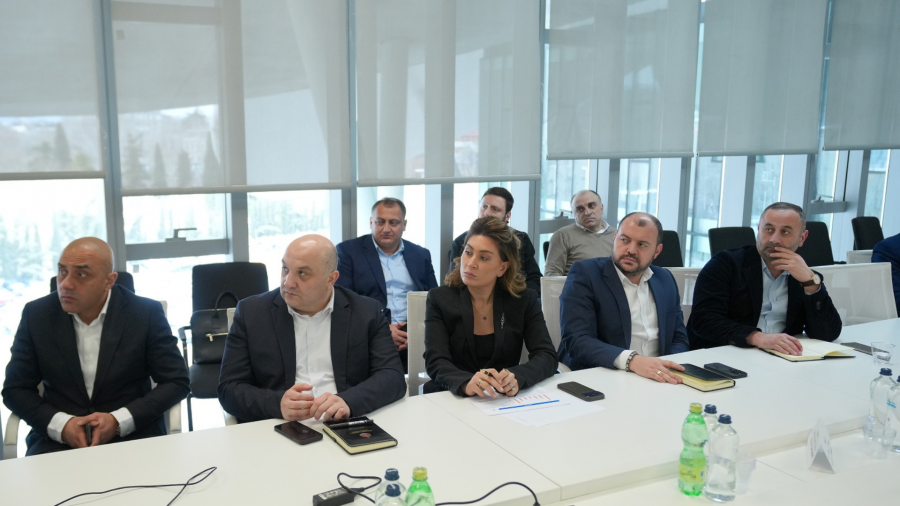 თამარ იოსელიანის თავმჯდომარეობით, საგზაო უსაფრთხოების უწყებათაშორისი კომისიის სხდომა გაიმართა