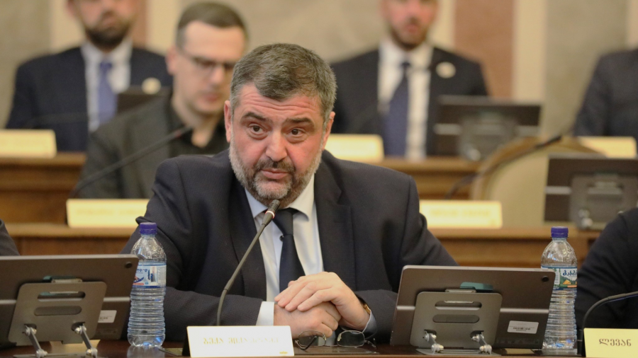 აუტიზმის სპექტრის დარღვევის მქონე ბავშვთა აბილიტაციის პროგრამით გათვალისწინებულ მომსახურებას 300 ბენეფიციარით მეტი მიიღებს